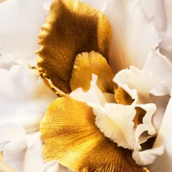 J'adore Eau de parfum roller-pearl