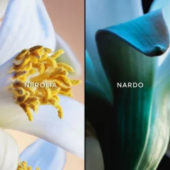 JARDINS DE BAGATELLE EDT 75ML