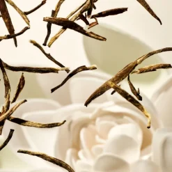 KARMA SHIMMERING BODY OIL