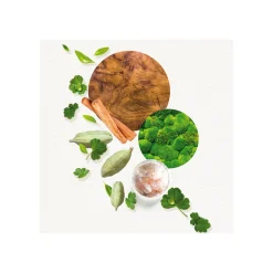 KOGAÏ FOR HIM EAU DE TOILETTE