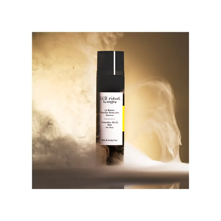 La Brume Bouclier Protection