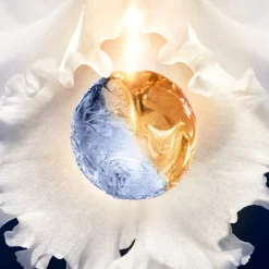 LE CONCENTRÉ DE LOTION-ESSENCE ORCHIDÉE IMPÉRIALE