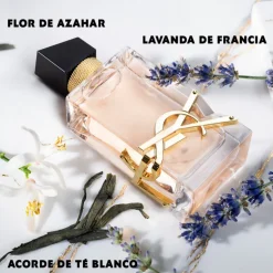 LIBRE EDT VAPOURISER