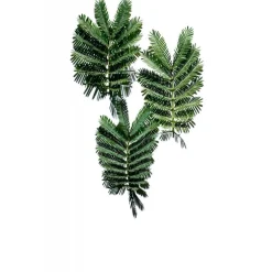 LISSE MINUTE BASE COMBLANTE