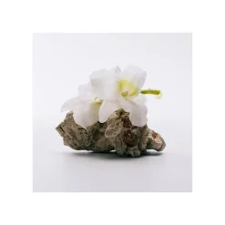 LOEWE A MI AIRE EDT 100 ML