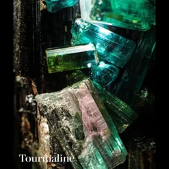 LOTION HYDRATANTE POUR LE VISAGE THE CALMING LOTION CLEANSER