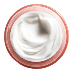 Moisture Surge Réhydratant 72H 75ml Édition limitée