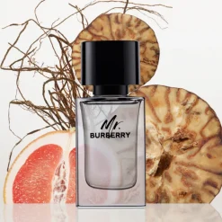 MR BURBERRY EDT V