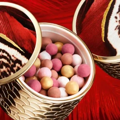 Météorites Phoenix Édition Limitée