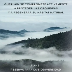 Orchidée Impériale Crème Mousse