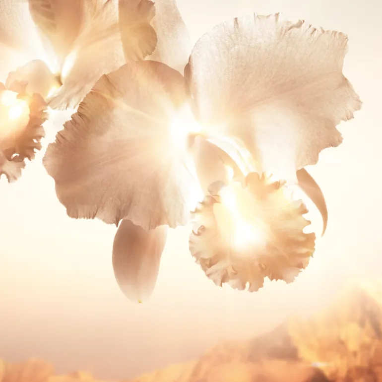 ORCHIDÉE IMPÉRIALE GOLD NOBILE EL SÉRUM