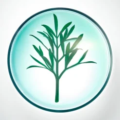 Powercell Night Rescue Crème de Nuit