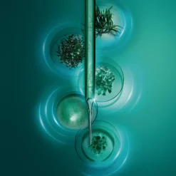 Powercell Skinmunity Eye Care