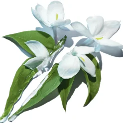 PURE SHOTS CLEAN REBOOT LIMPIADOR FACIAL