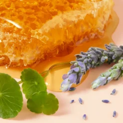 RÊVE CRÈME POUR LES MAINS AU MIEL CICA 50ML