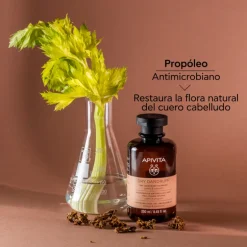 Shampooing Antipelliculaire Sec