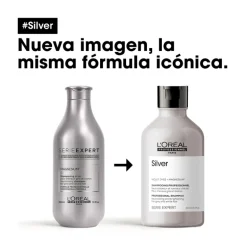Silver Shampooing 300ML