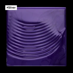 Silver Shampooing 300ML