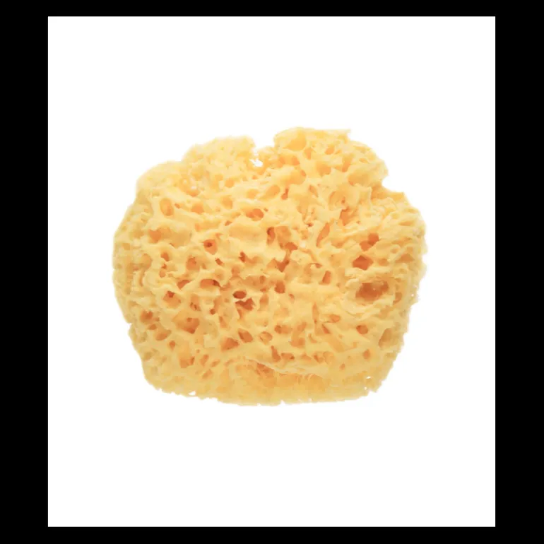 SPONJA NATURELLE