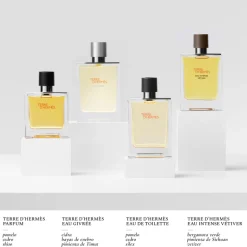TERRE D’HERMÈS EAU GIVRÉE EAU DE PARFUM