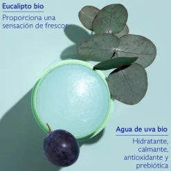 Vinofresh Déodorant Naturel 24 Hs 50 gr